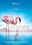 Ficha de The Crimson Wing: Mystery of the Flamingos